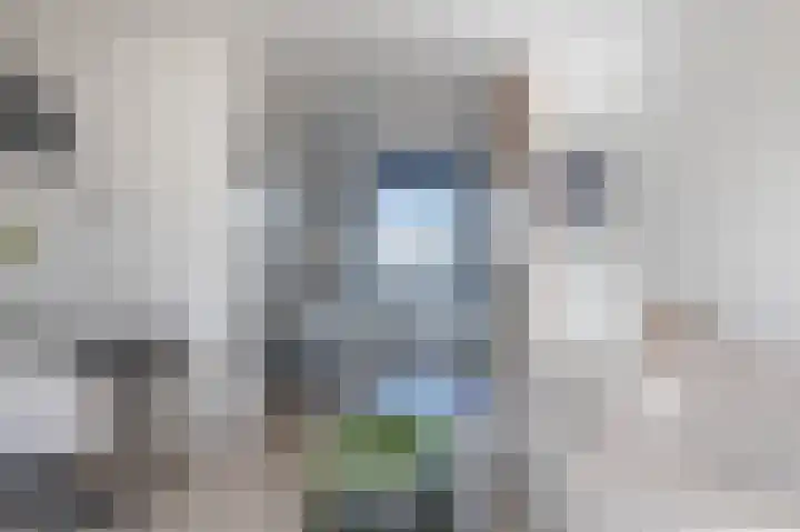 Grundel 12 Rijsenhout thumbnail 15