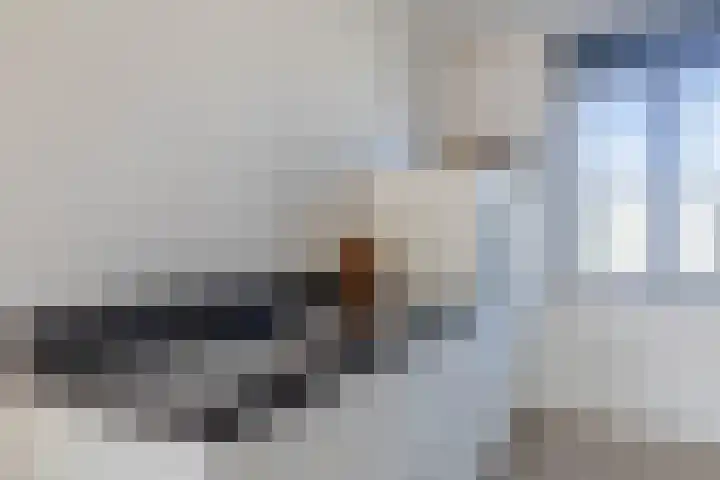 Grundel 12 Rijsenhout thumbnail 18