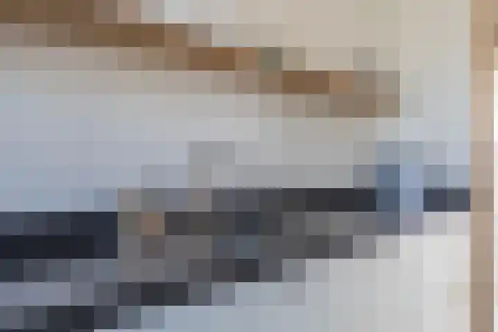 Grundel 12 Rijsenhout thumbnail 19