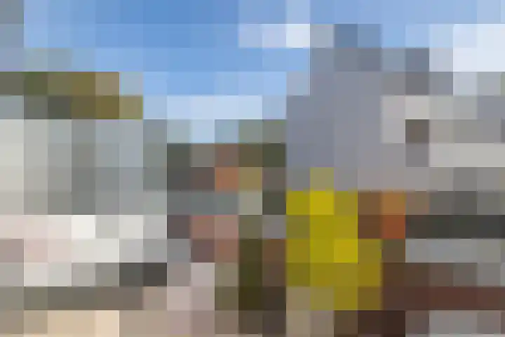Grundel 12 Rijsenhout thumbnail 22