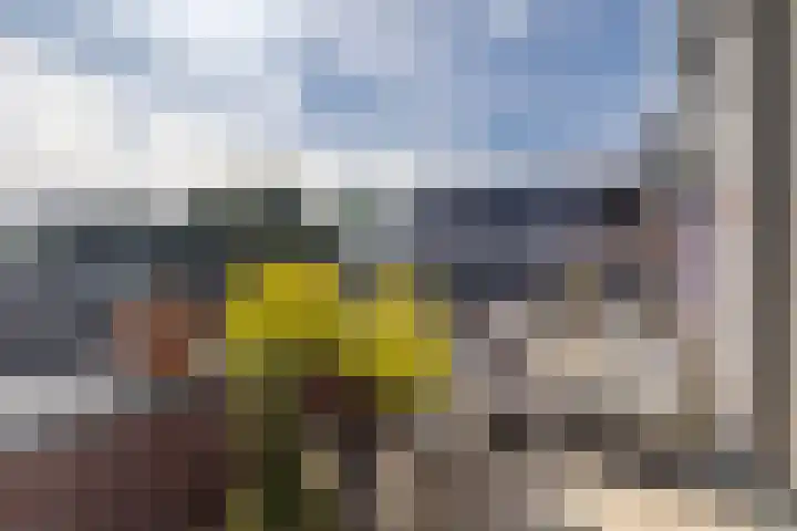 Grundel 12 Rijsenhout thumbnail 23