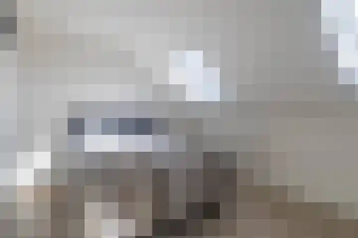 Grundel 12 Rijsenhout thumbnail 25