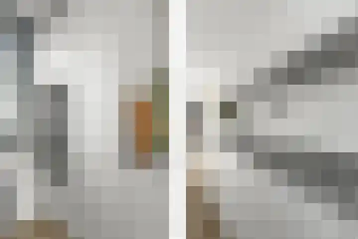 Grundel 16 Rijsenhout thumbnail 18