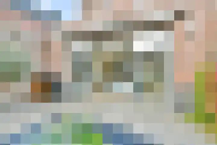 Grundel 16 Rijsenhout thumbnail 24