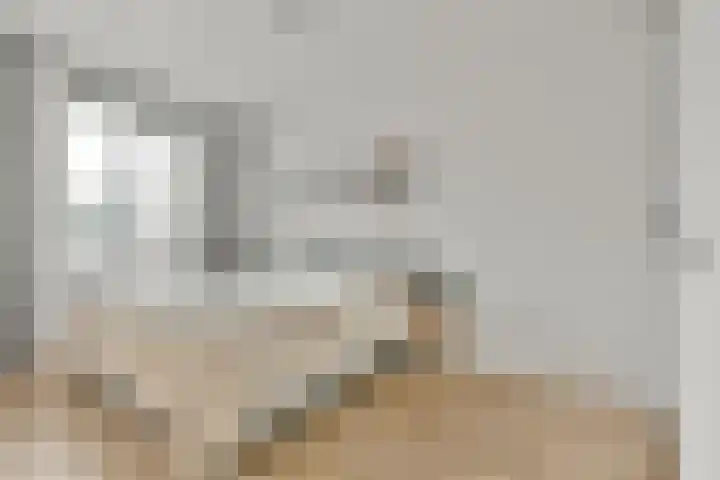 Grundel 16 Rijsenhout thumbnail 27