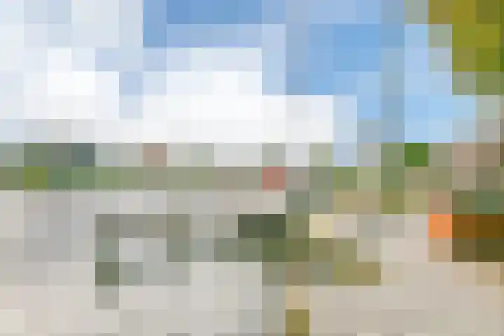 Grundel 16 Rijsenhout thumbnail 35