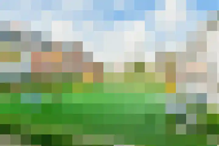 Grundel 16 Rijsenhout thumbnail 36
