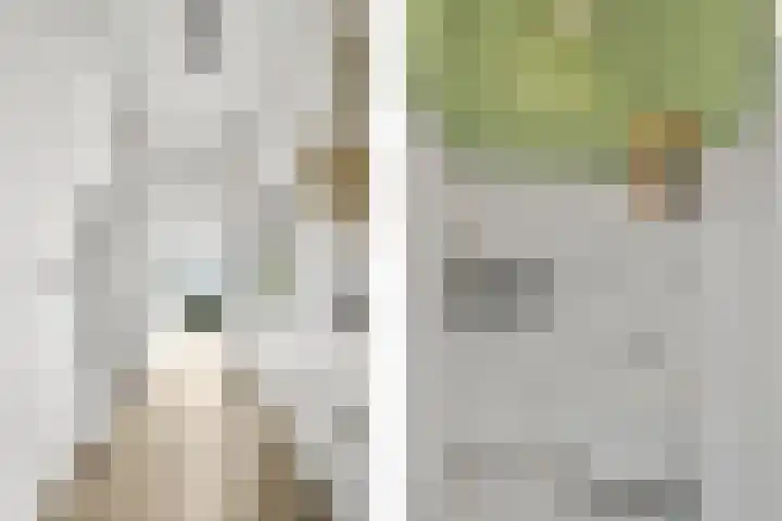 Grundel 16 Rijsenhout thumbnail 7