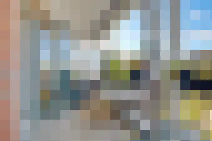 Grundel 18 Rijsenhout thumbnail 12