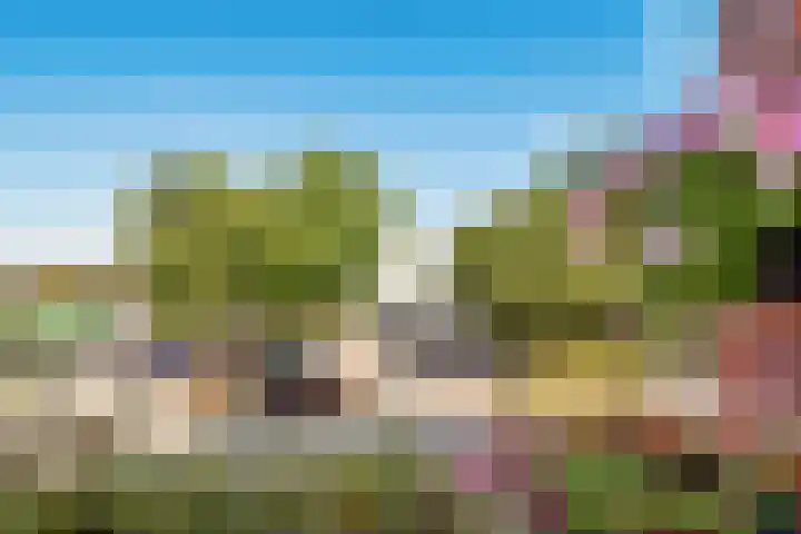 Grundel 18 Rijsenhout thumbnail 14