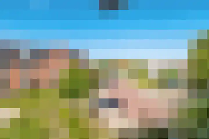 Grundel 18 Rijsenhout thumbnail 16