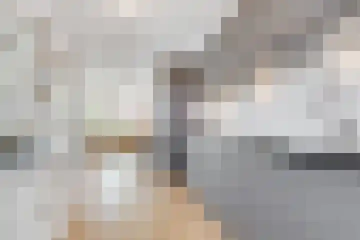 Grundel 18 Rijsenhout thumbnail 18
