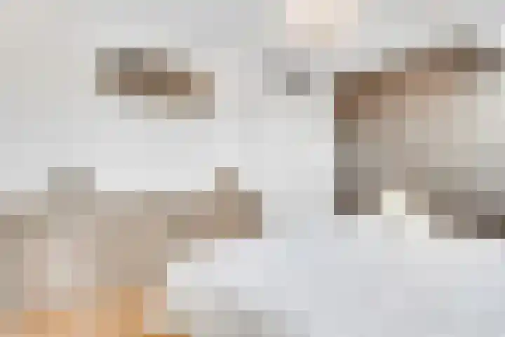 Grundel 18 Rijsenhout thumbnail 23