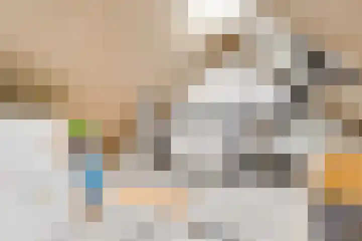Grundel 18 Rijsenhout thumbnail 30