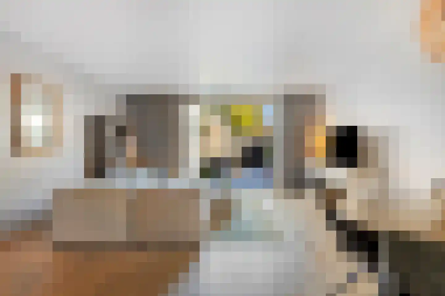 Grundel 24 Rijsenhout thumbnail 11