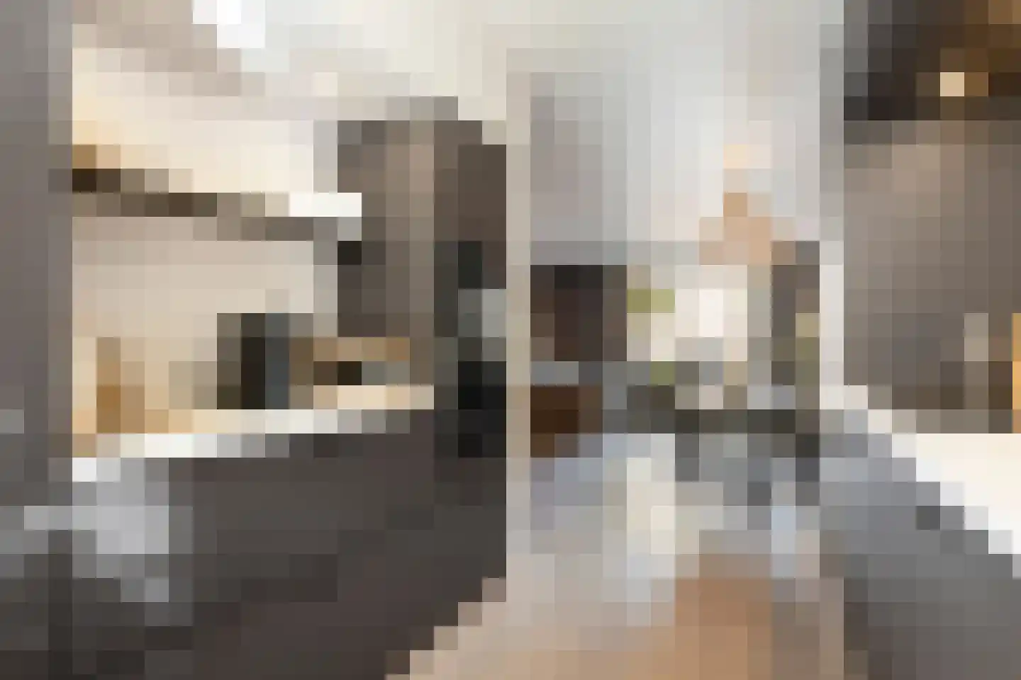 Grundel 24 Rijsenhout thumbnail 20