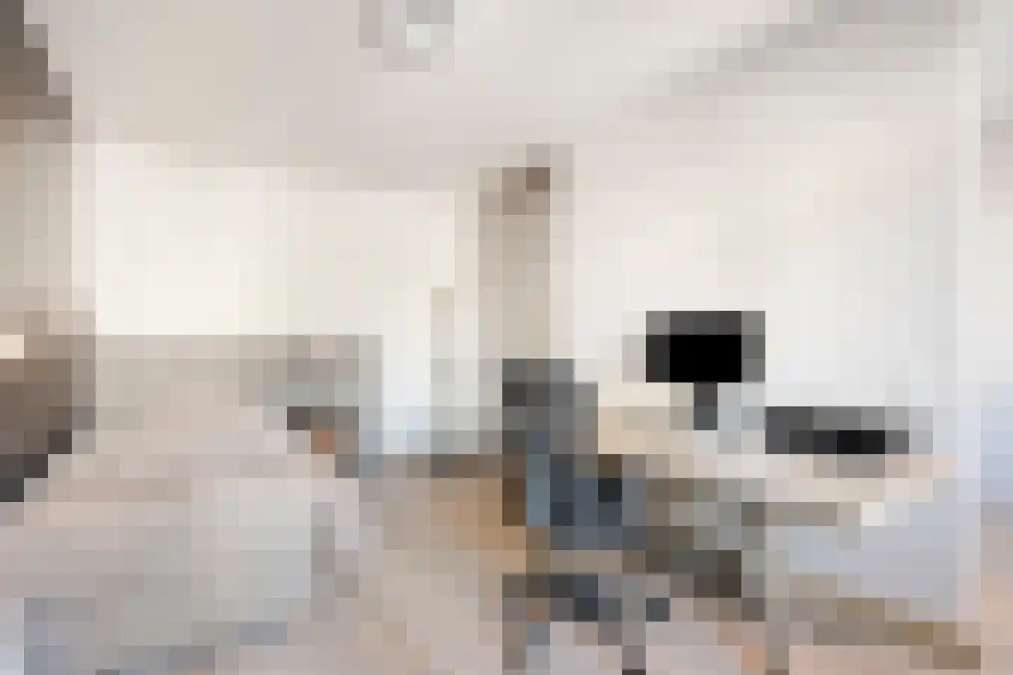 Grundel 24 Rijsenhout thumbnail 23