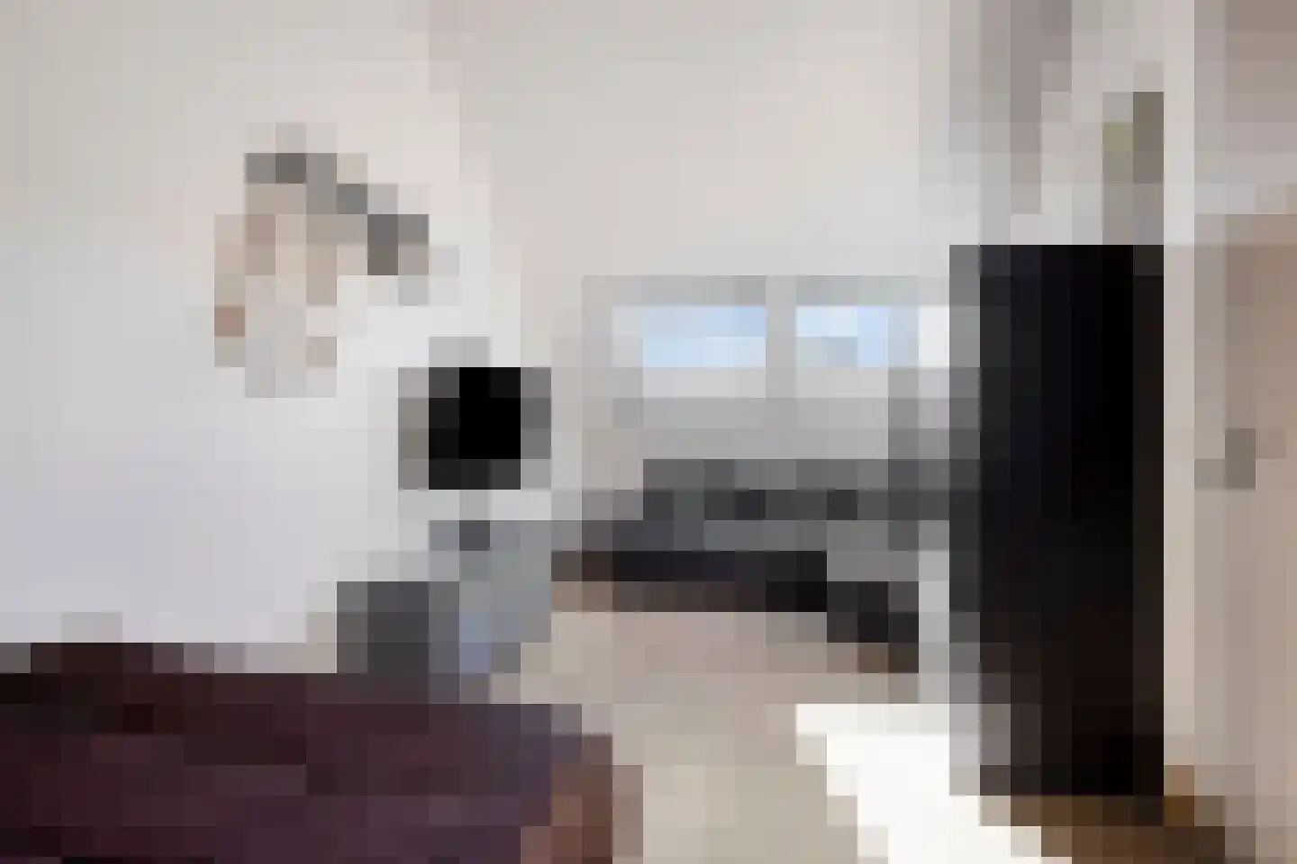 Grundel 24 Rijsenhout thumbnail 32