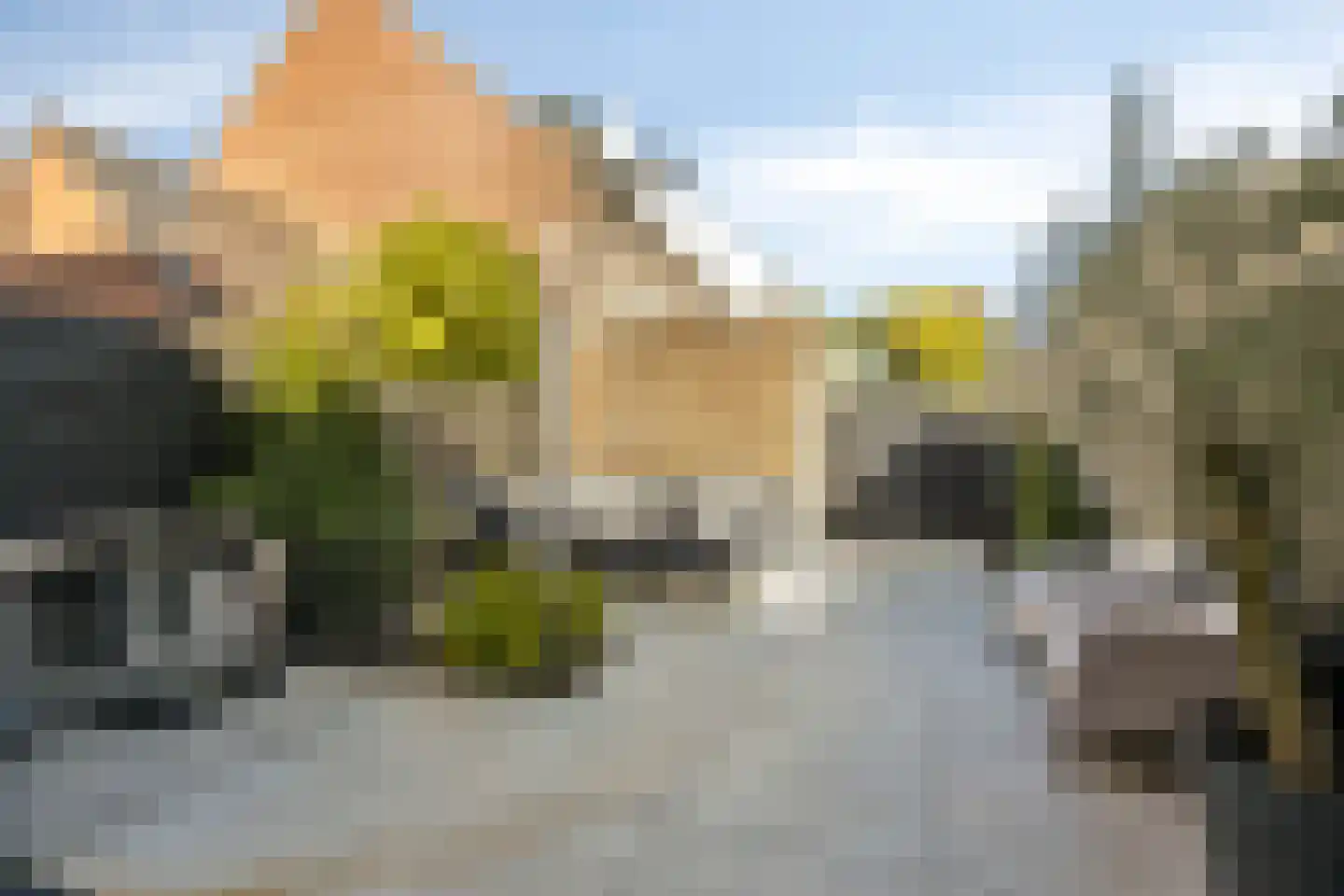 Grundel 24 Rijsenhout thumbnail 35