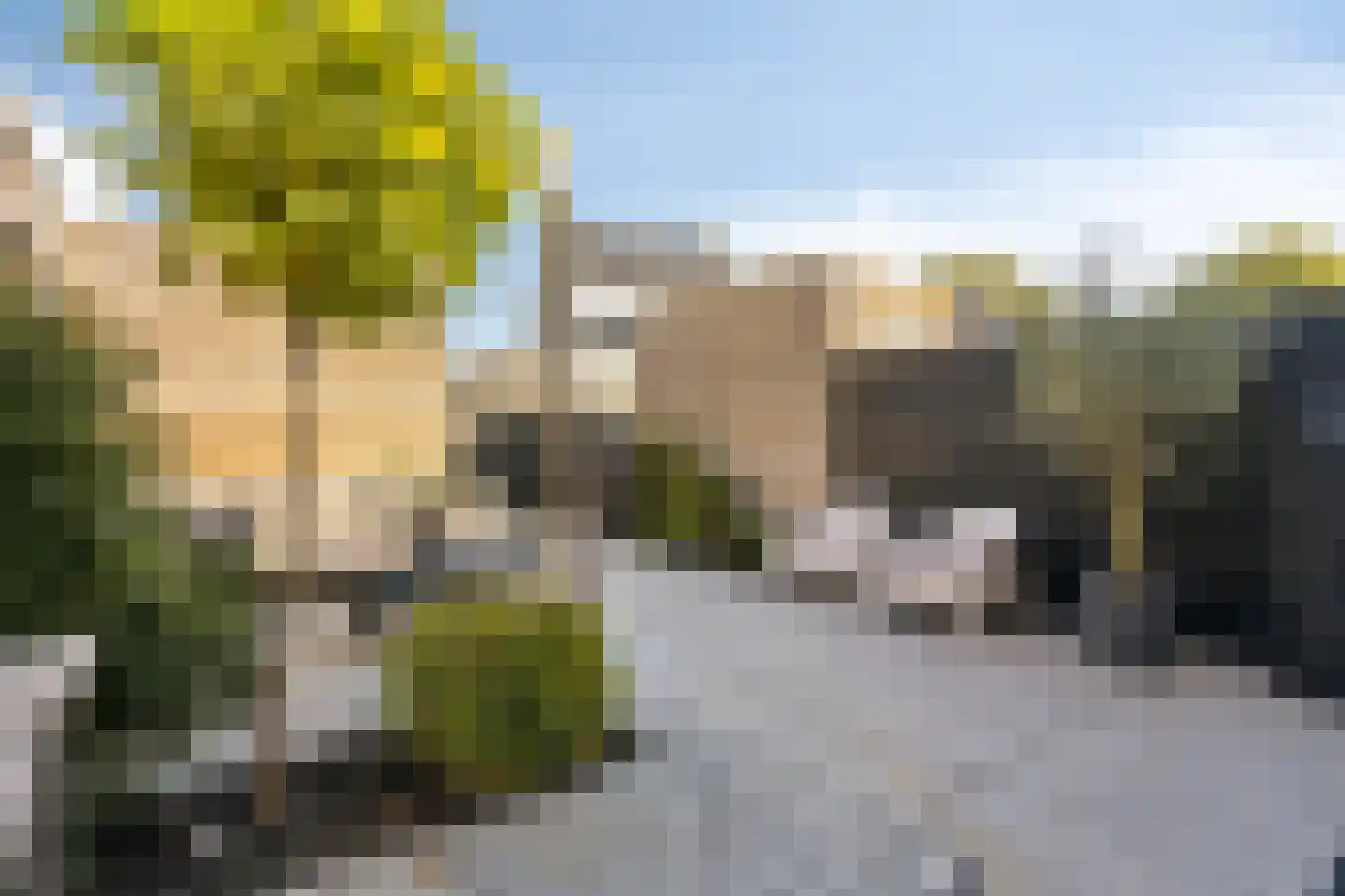 Grundel 24 Rijsenhout thumbnail 36
