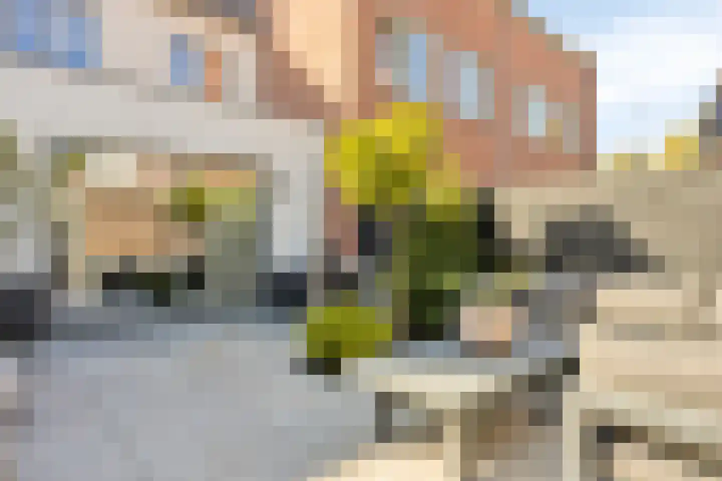 Grundel 24 Rijsenhout thumbnail 37