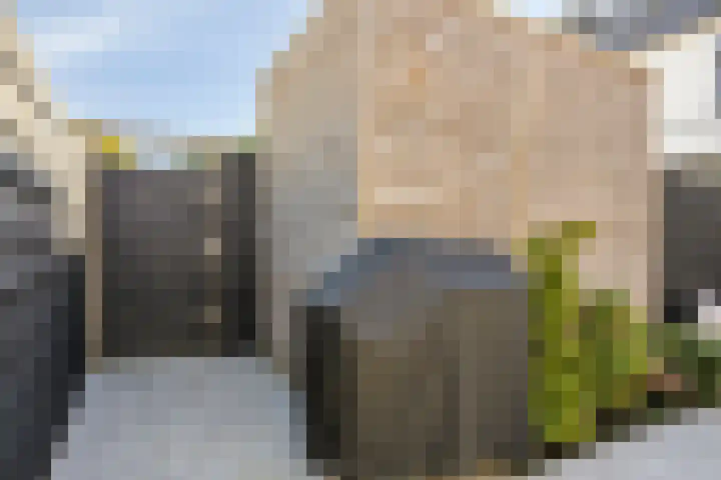 Grundel 24 Rijsenhout thumbnail 38