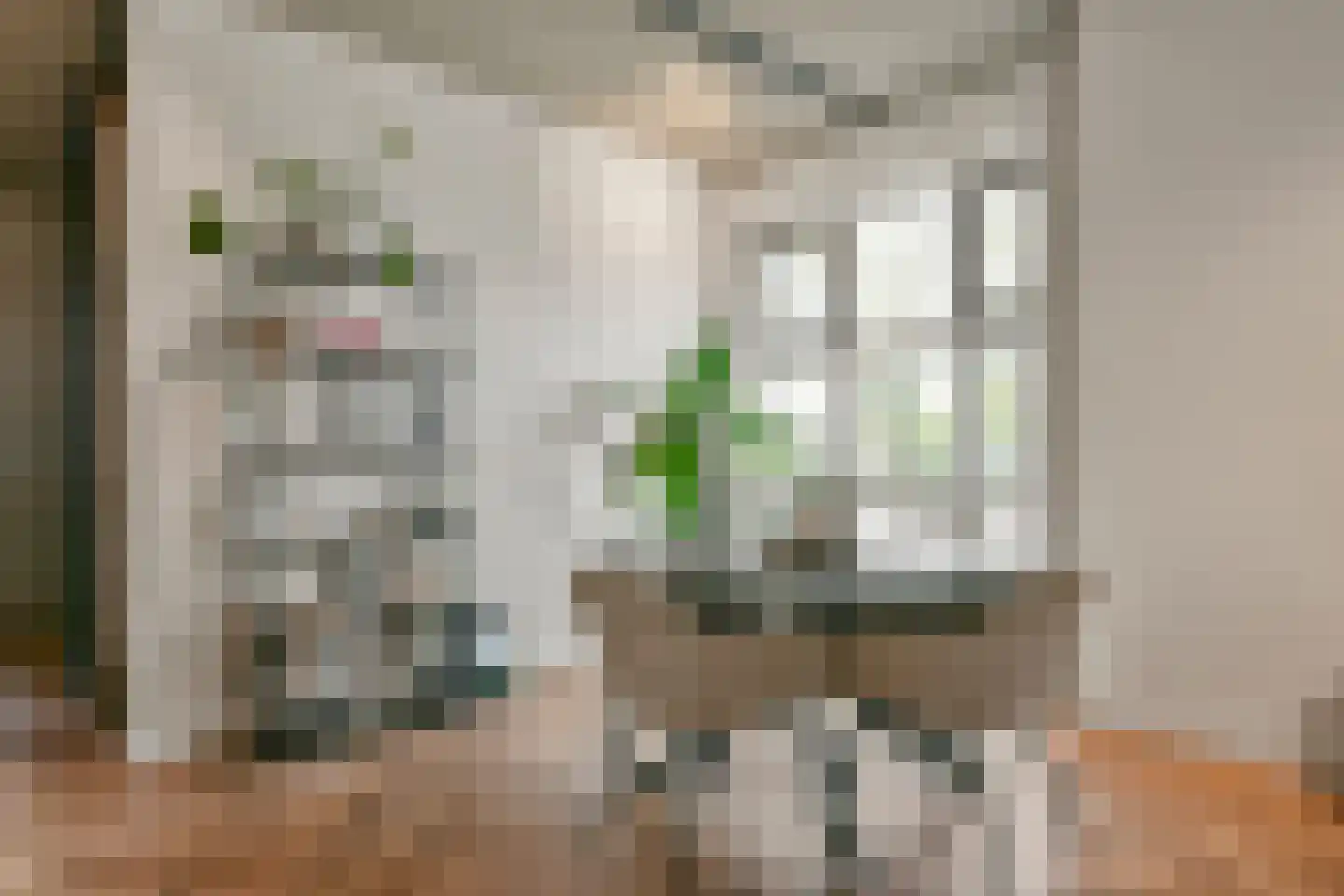 Grundel 4 A Rijsenhout thumbnail 17