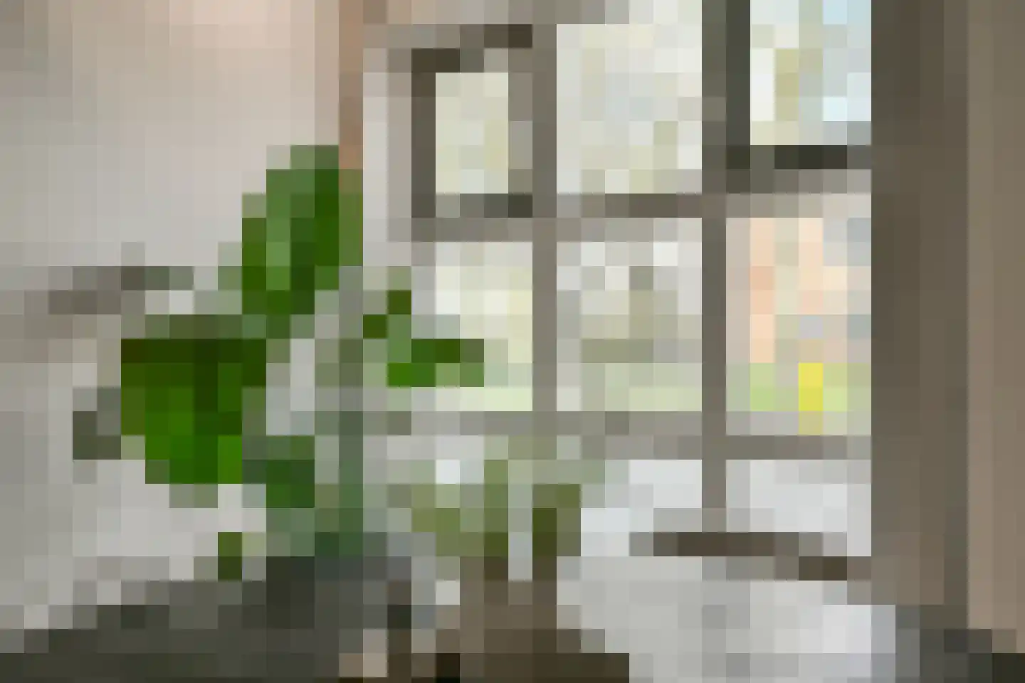 Grundel 4 A Rijsenhout thumbnail 18