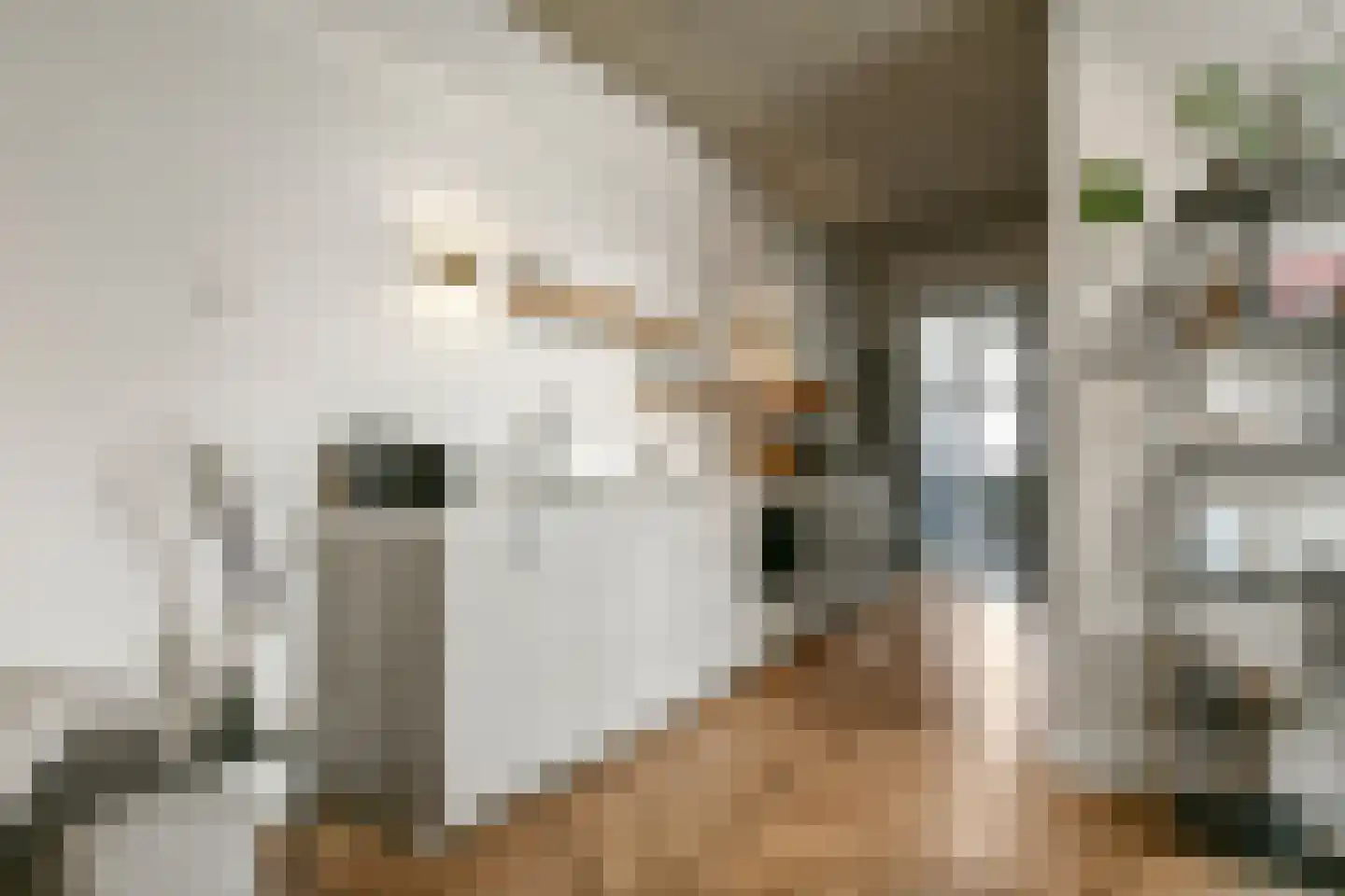 Grundel 4 A Rijsenhout thumbnail 23