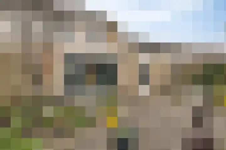 Grundel 61 Oude Wetering thumbnail 22