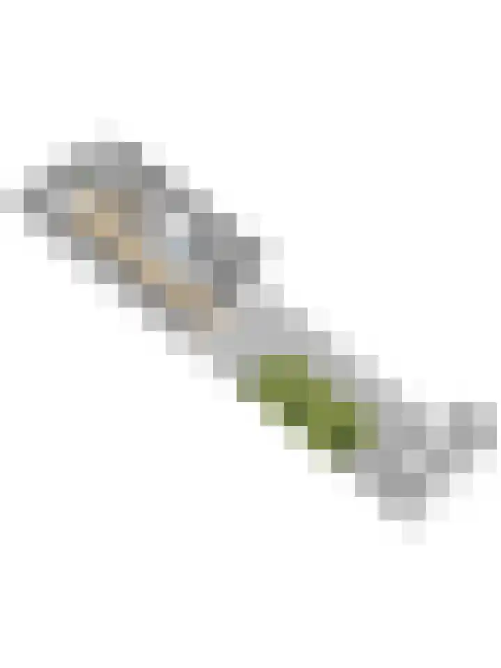 Grundel 9 Oude Wetering thumbnail 32