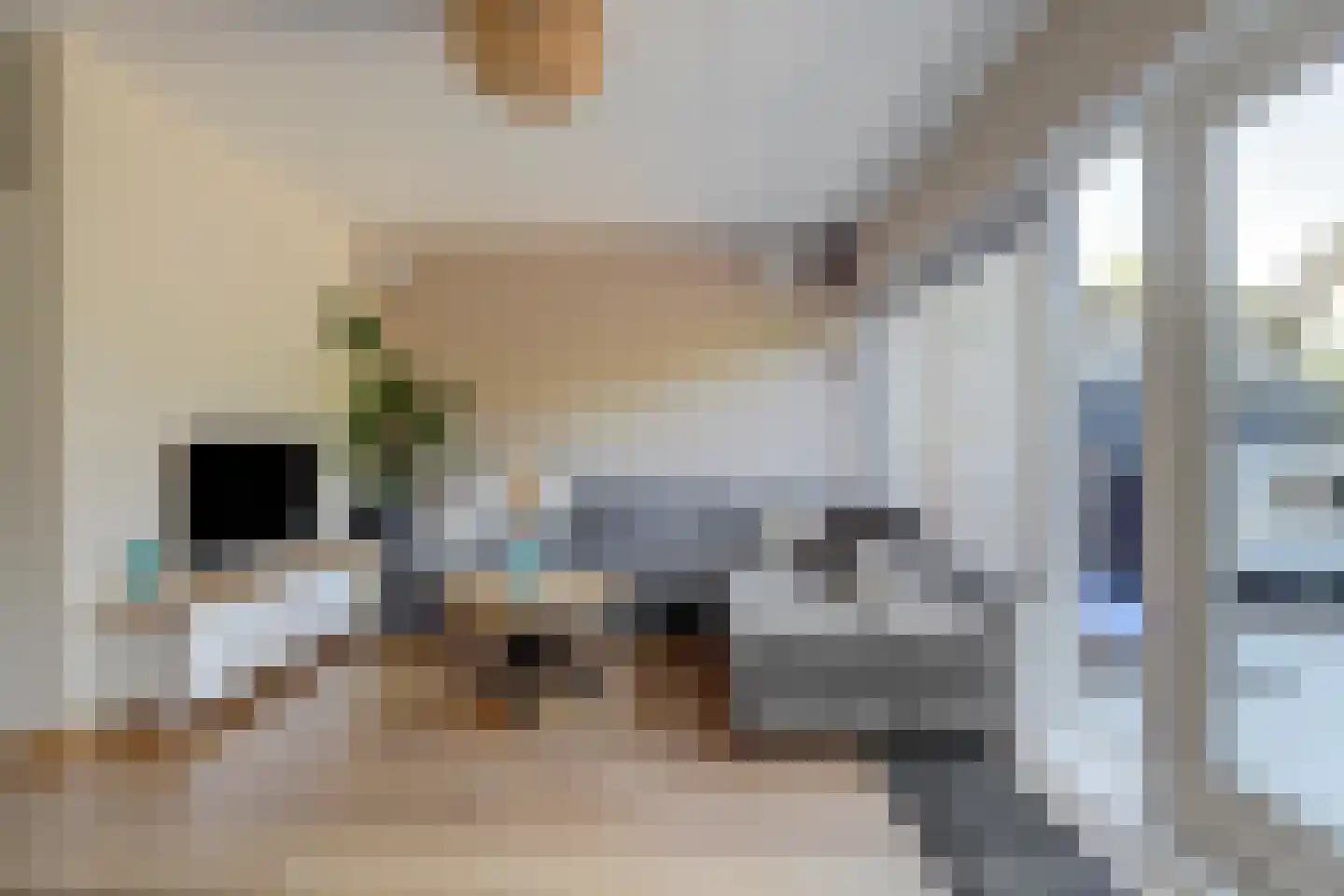Grundelhof 14 Harlingen thumbnail 10