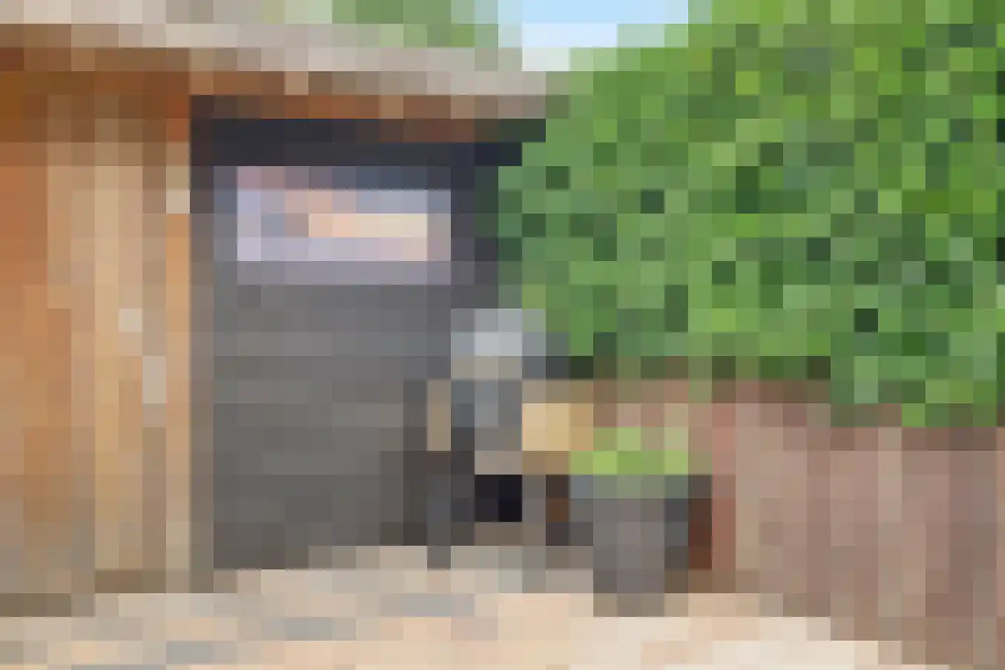 Grundelhof 14 Harlingen thumbnail 35