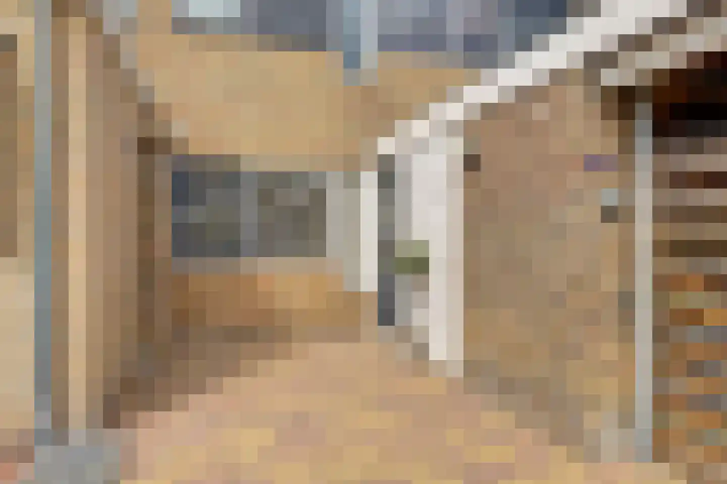 Grundelhof 14 Harlingen thumbnail 5