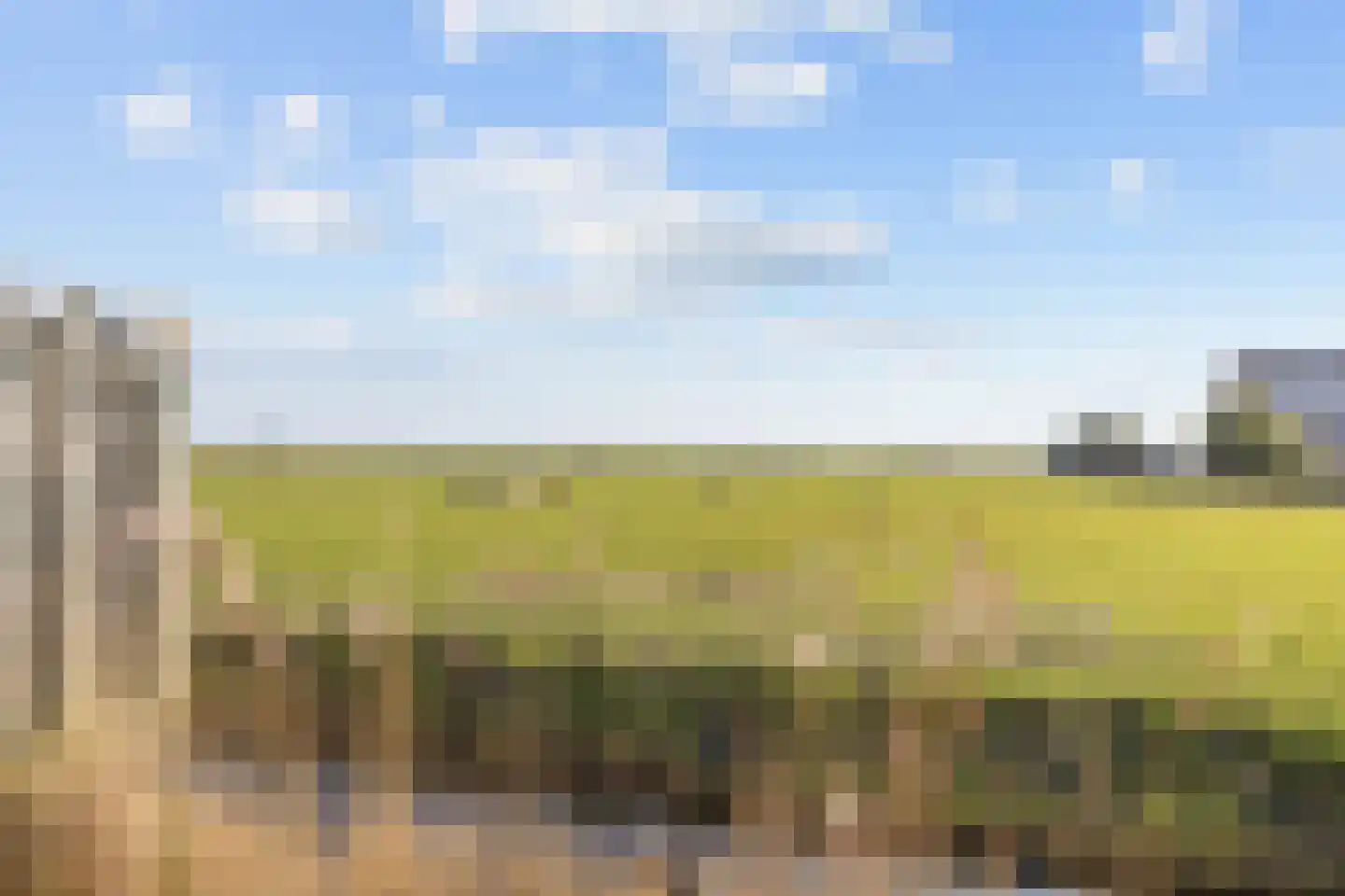 Grundelhof 16 Harlingen thumbnail 55