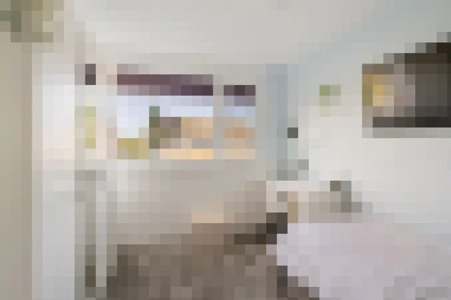 Grundelhof 26 Harlingen thumbnail 29