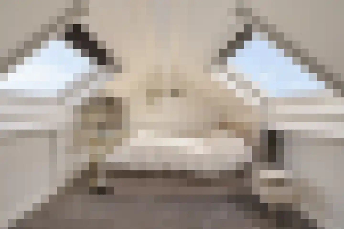 Grundelhof 26 Harlingen thumbnail 33