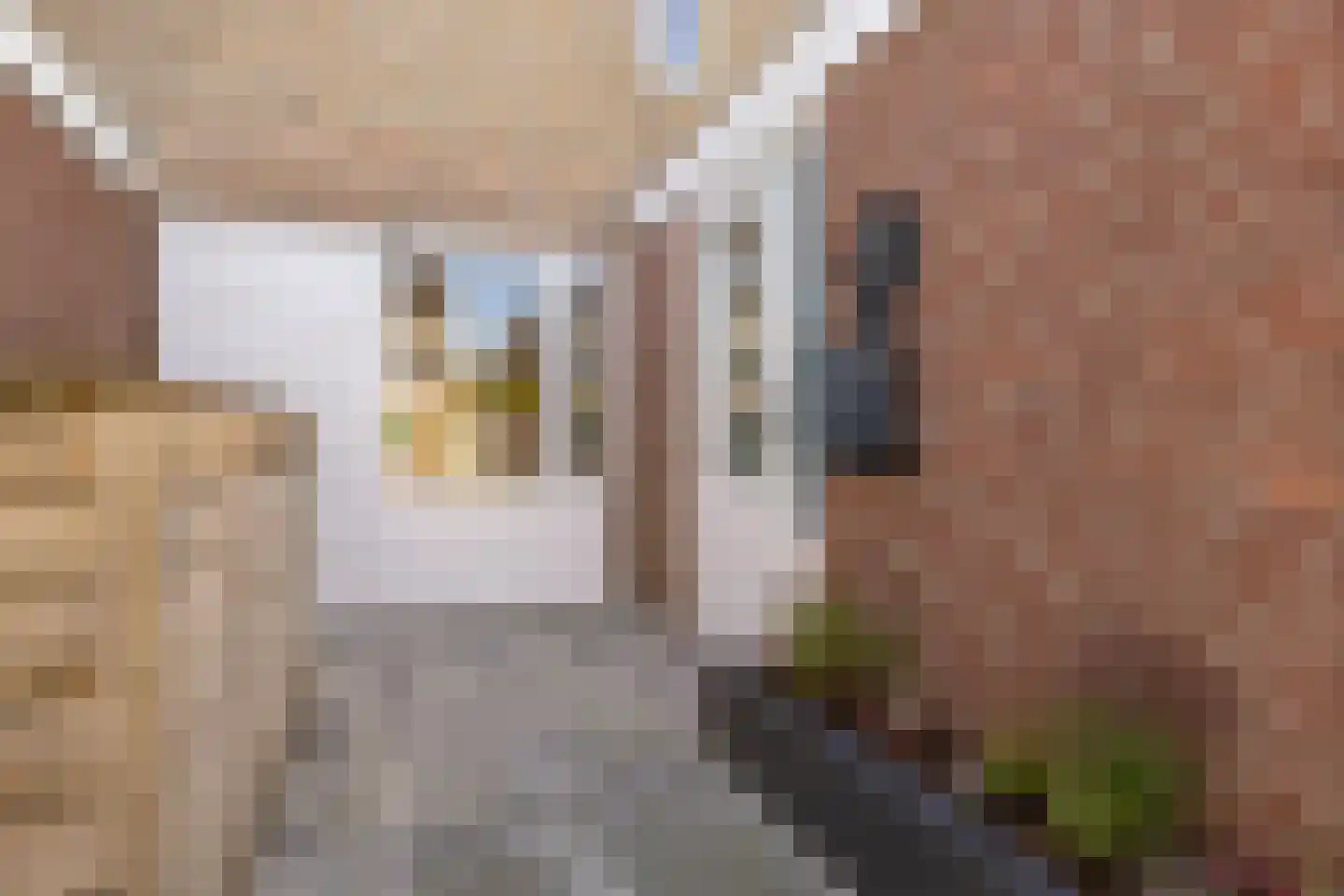Grundelhof 26 Harlingen thumbnail 36