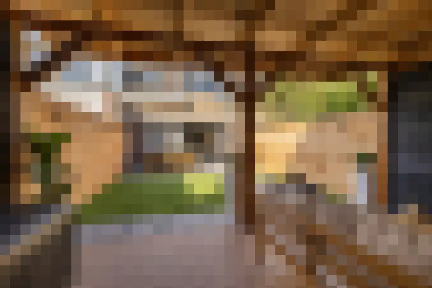Grundelhof 26 Harlingen thumbnail 41