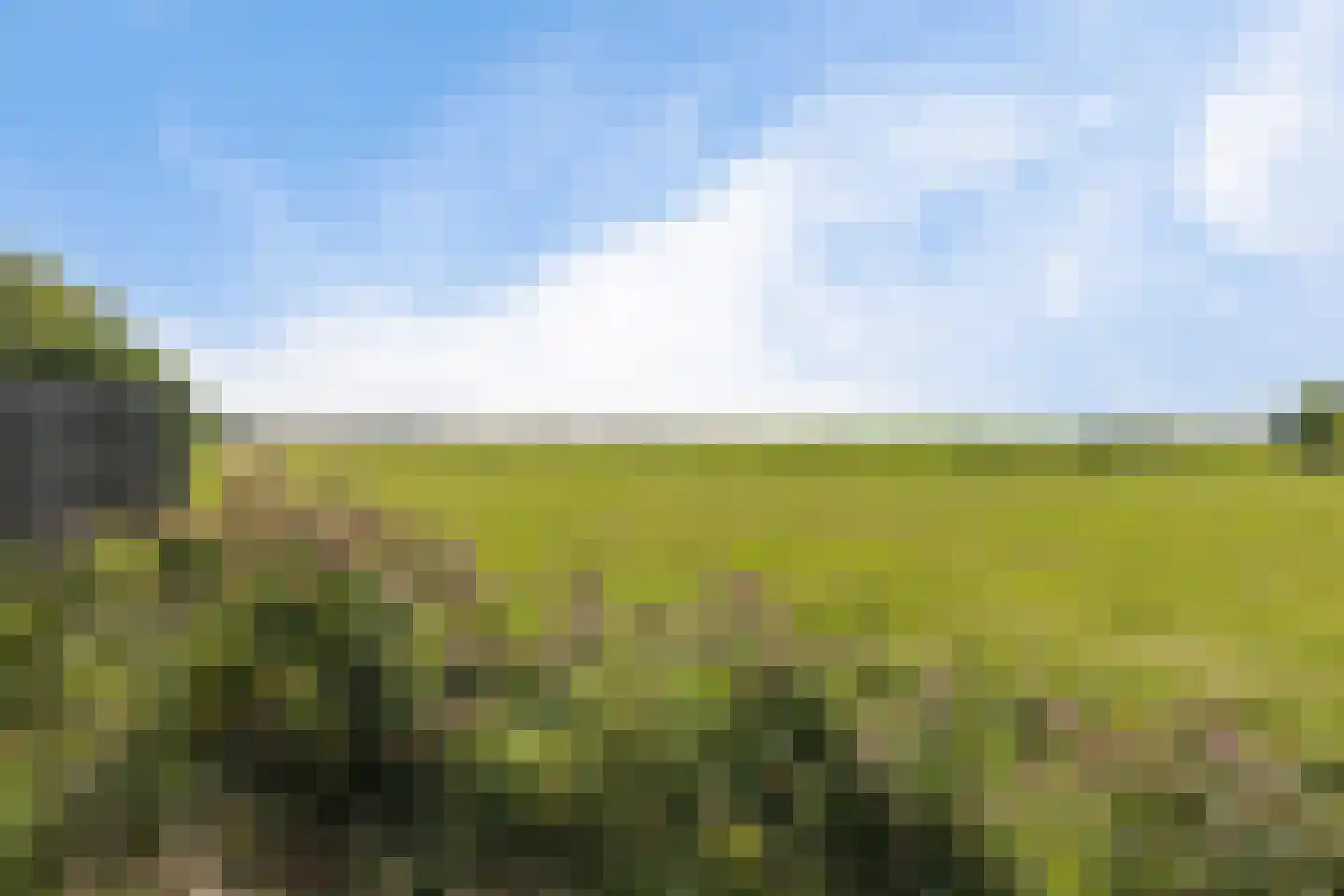 Grundelhof 26 Harlingen thumbnail 45