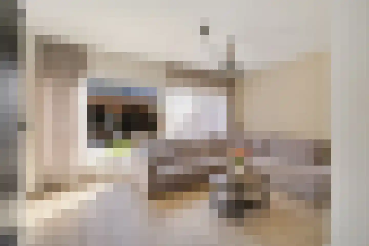 Grundelhof 26 Harlingen thumbnail 5