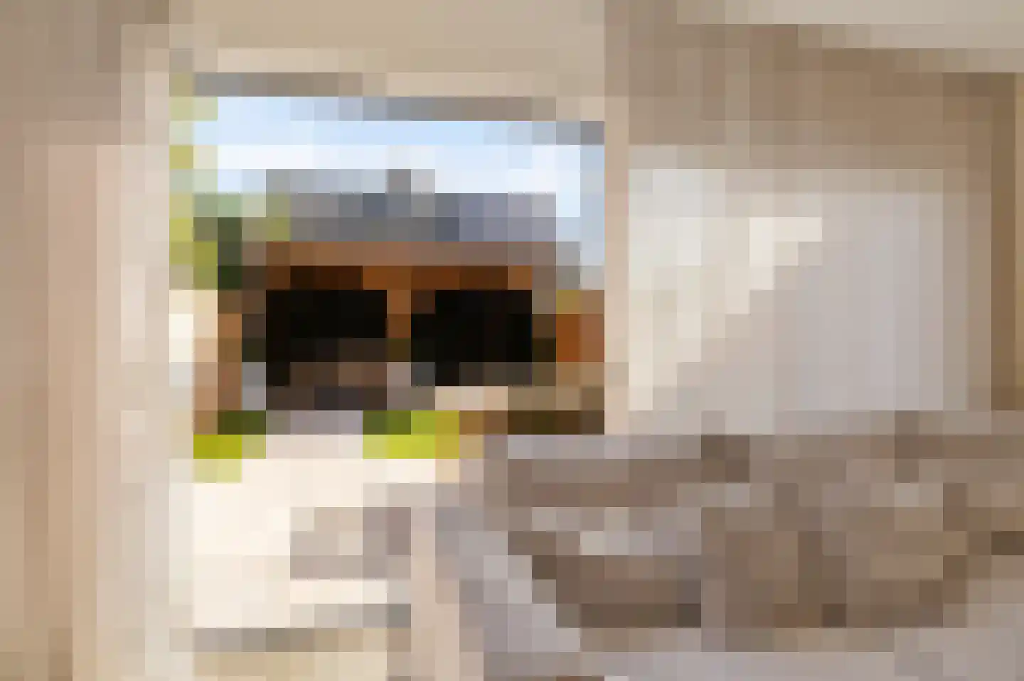 Grundelhof 26 Harlingen thumbnail 6
