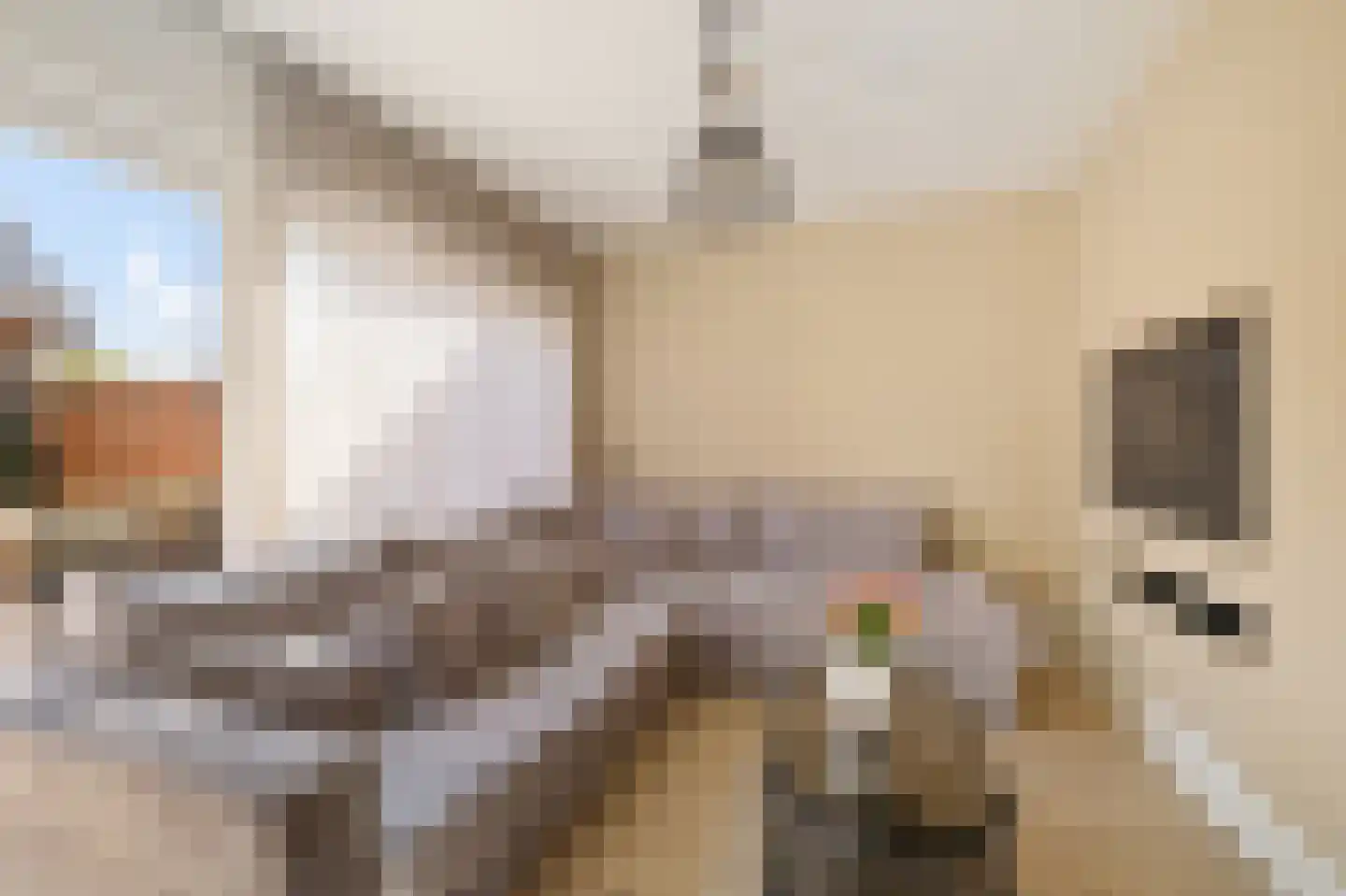 Grundelhof 26 Harlingen thumbnail 7