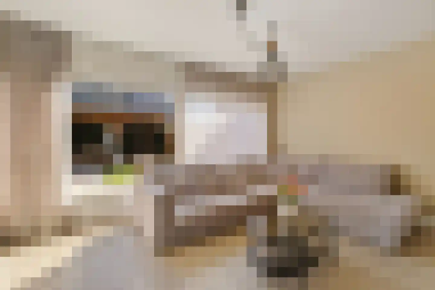 Grundelhof 26 Harlingen thumbnail 8