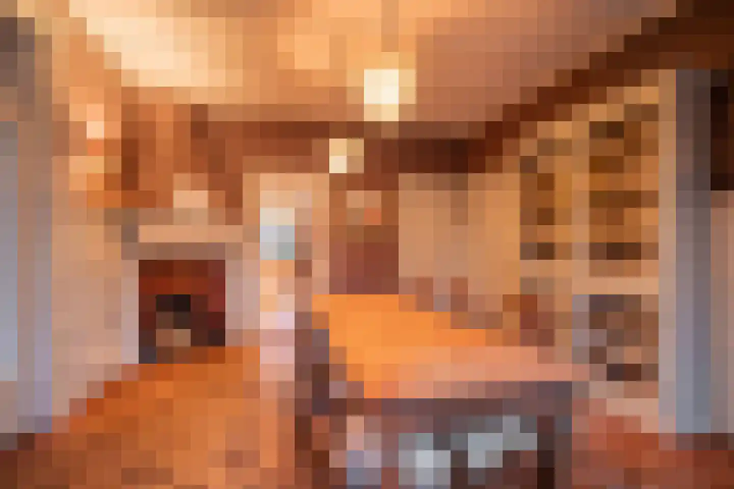 Grundellaan 19 Hengelo thumbnail 11