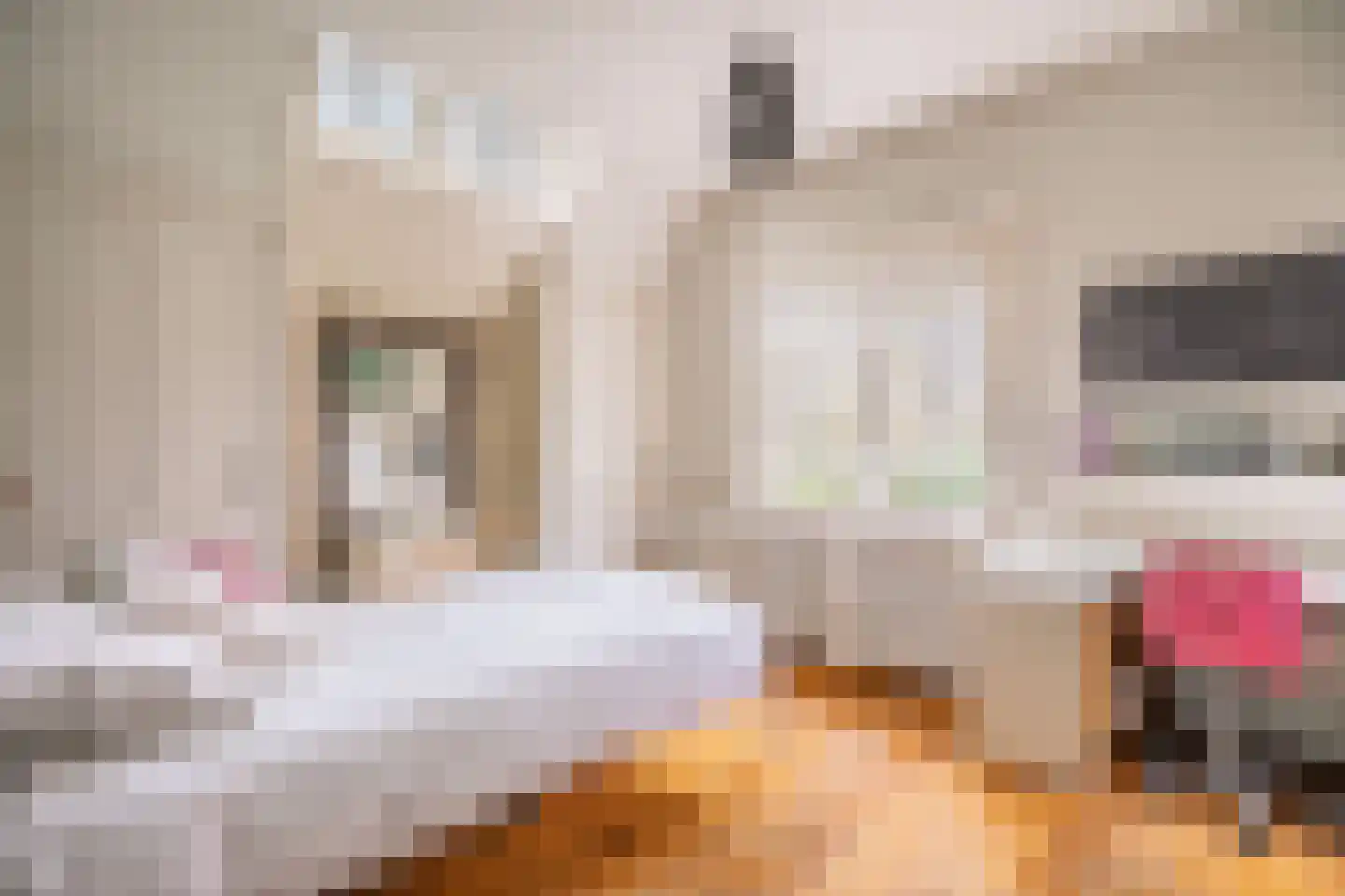 Grundellaan 19 Hengelo thumbnail 31