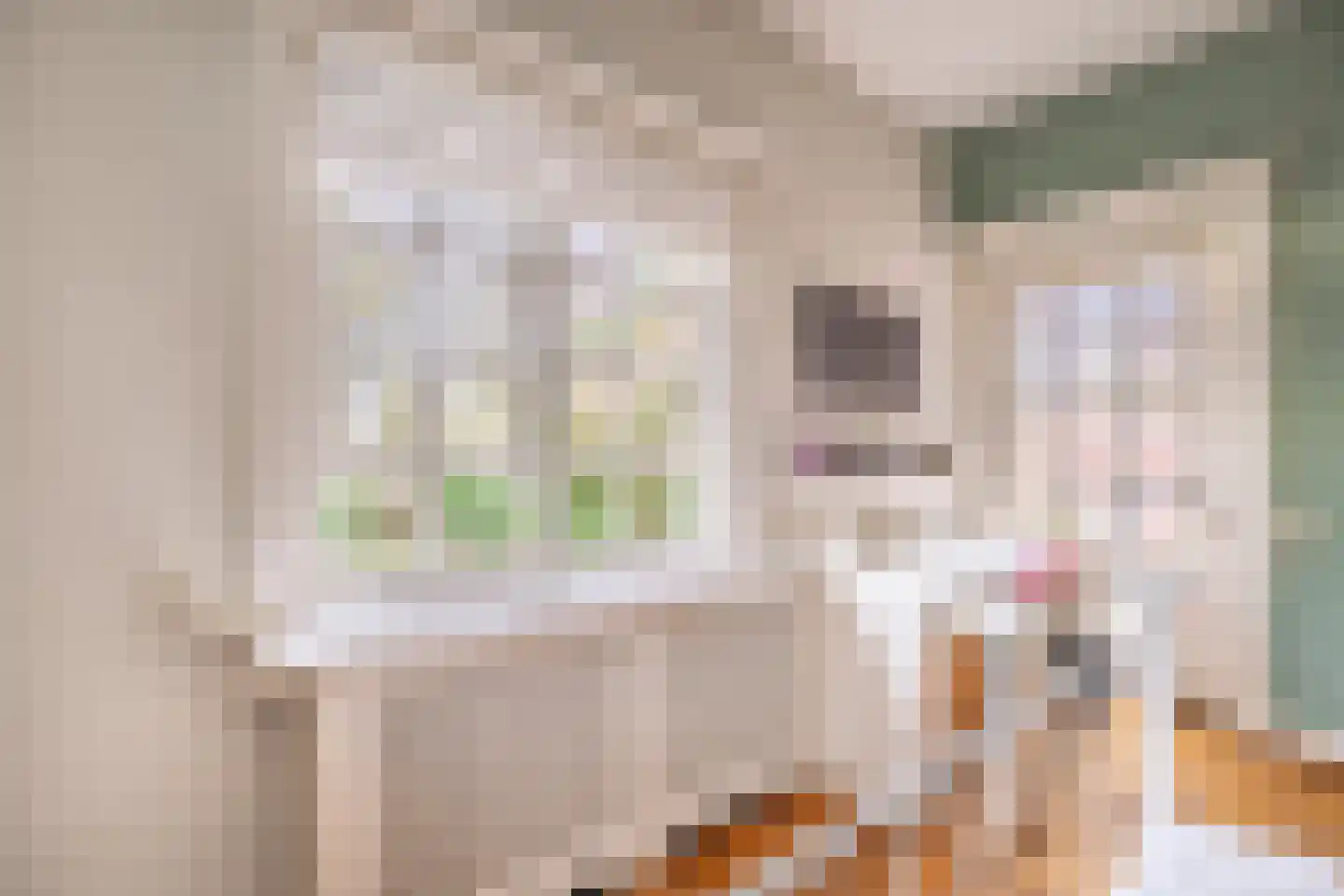 Grundellaan 19 Hengelo thumbnail 32