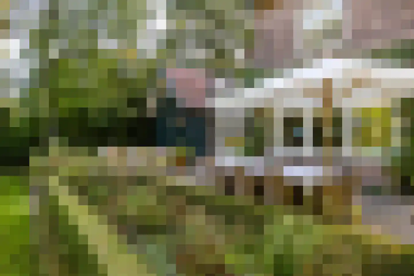 Grundellaan 19 Hengelo thumbnail 40