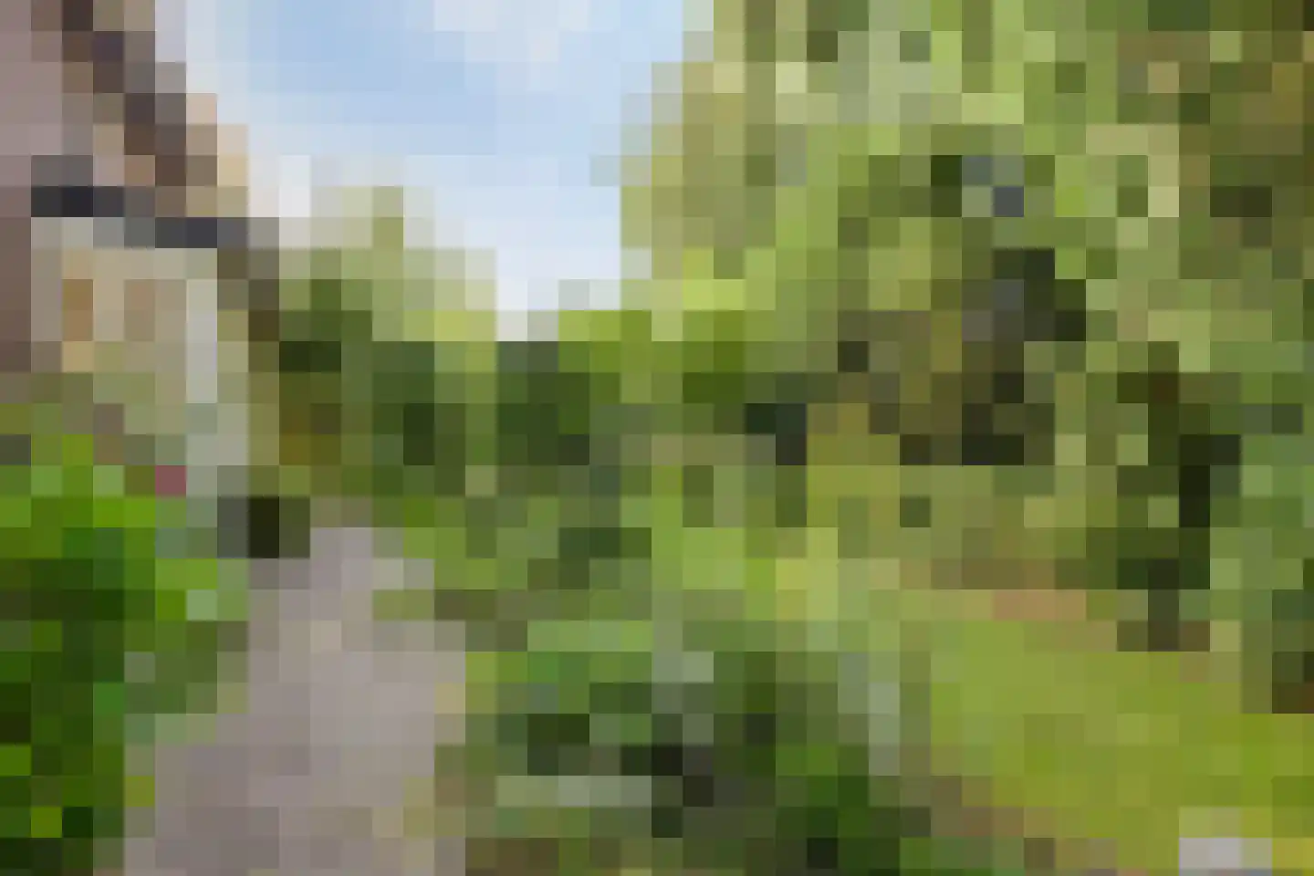 Grundellaan 19 Hengelo thumbnail 46