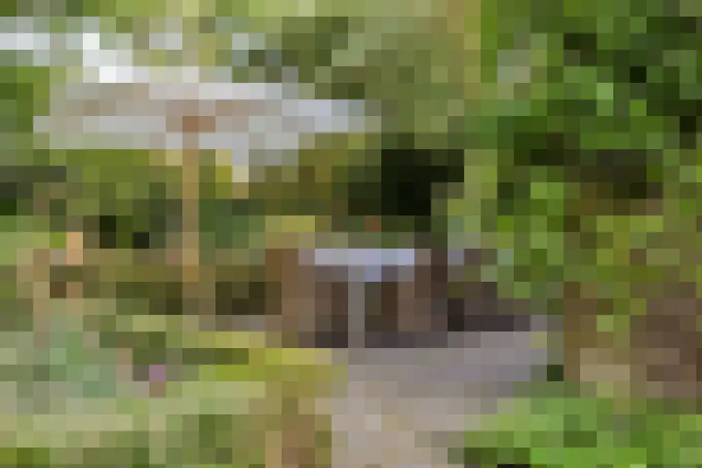 Grundellaan 19 Hengelo thumbnail 47